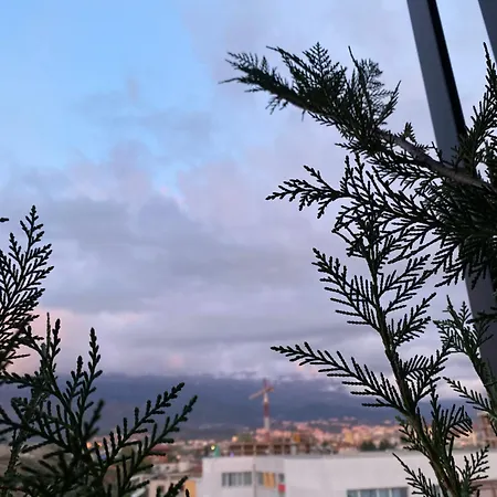 Dio Apartment, *